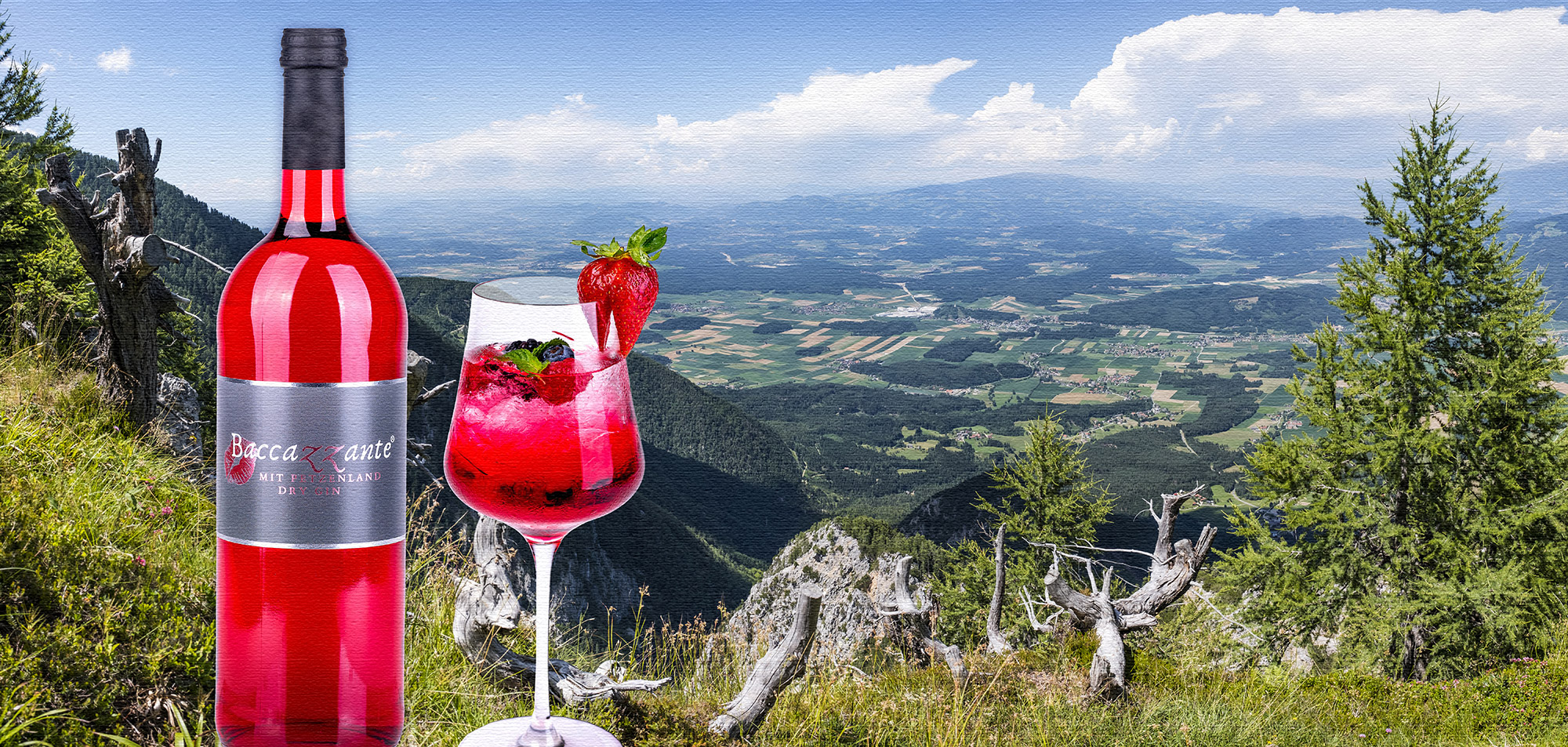 Sommeraktion 2025